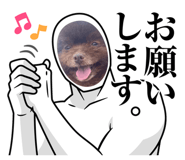 842156755