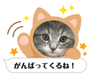 842157080