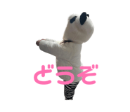 842157573