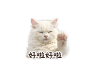 842158975