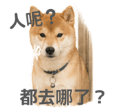 842159259