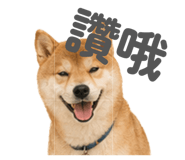 842159261
