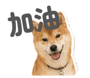 842159268
