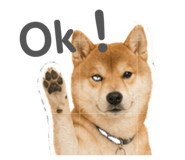 842159271