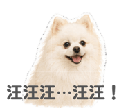 842159275