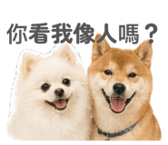 842159276