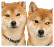 842159278