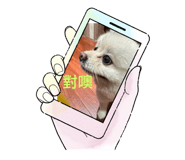 842159617