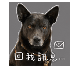 842159757