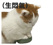 842160240
