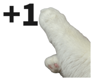 842160241