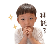 842160381