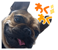 842160848