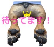 842160862