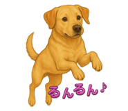 842160948