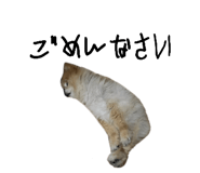 842160972