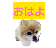 842160980