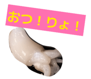 842160981