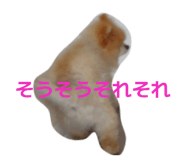 842160983