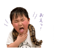 842161071