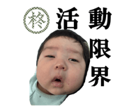 842161249