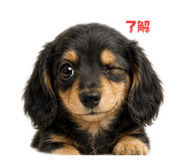 842161315