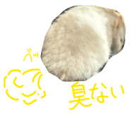 842161484