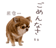 842161497