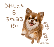 842161503
