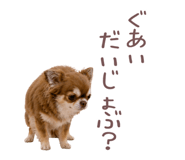 842161507