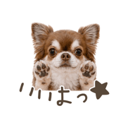 842161510