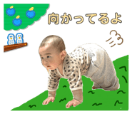 842161884