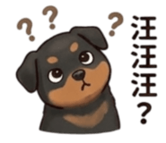 842162431