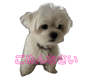 842164087