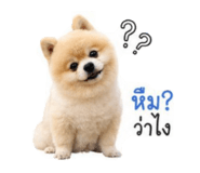 842164997