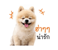 842164998