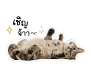 842165317