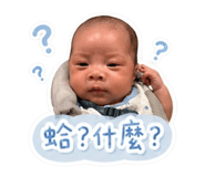 842166429