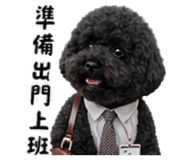842166664