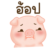 842167364