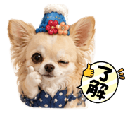 842167596