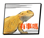 842168284