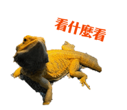 842168287