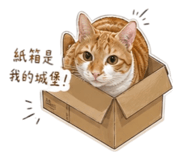 842169270