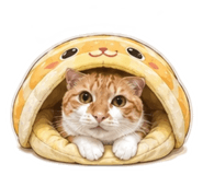 842169280