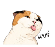 842169490