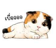842169512
