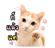 842171185