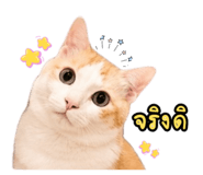 842171190