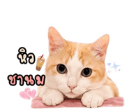 842171193